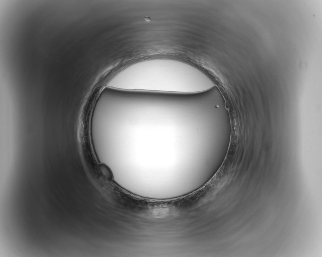 X0000099380587200805081201