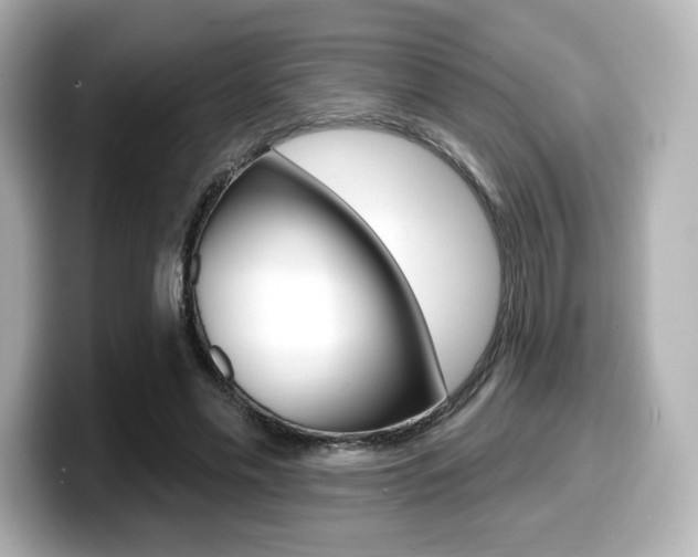X0000099380589200805081201