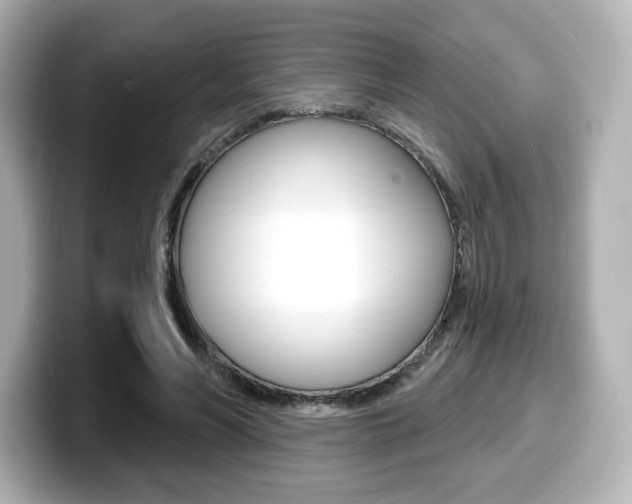 X0000099380590200805081201