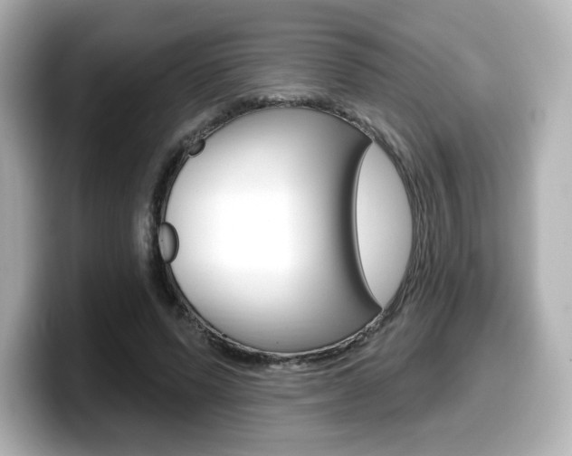 X0000099380591200805081201