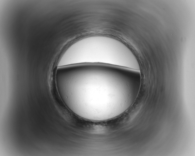 X0000099380592200805081201