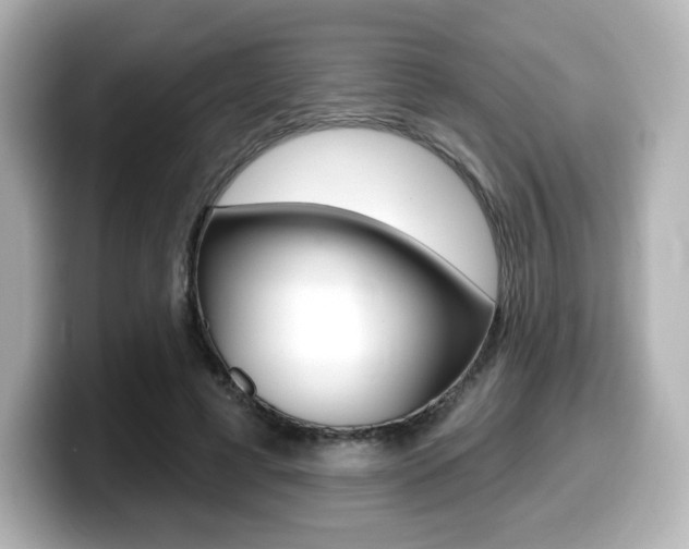 X0000099380593200805081201