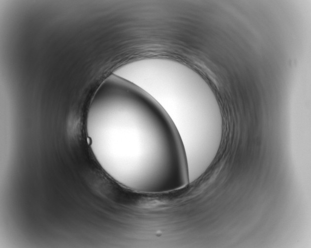 X0000099380597200805081201