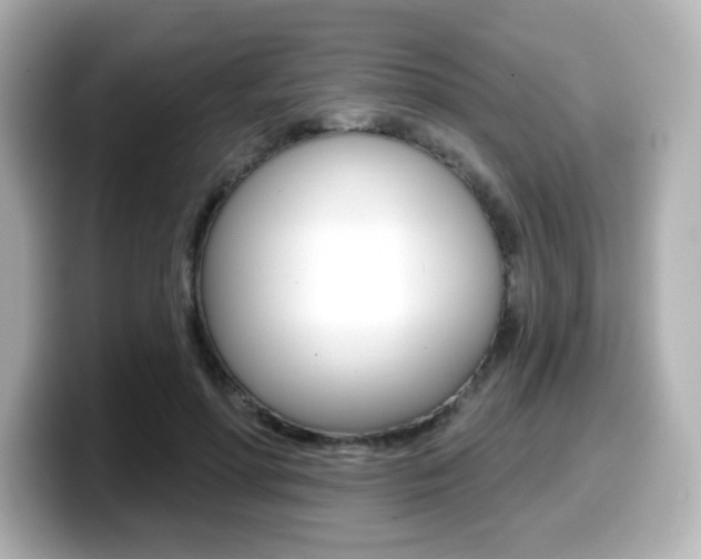 X0000099380598200805081201