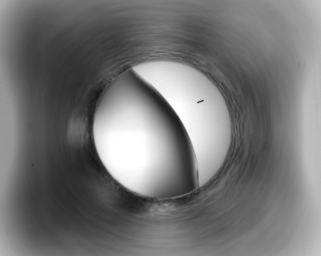 X0000099380599200805081201