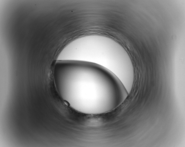 X0000099380601200805081201