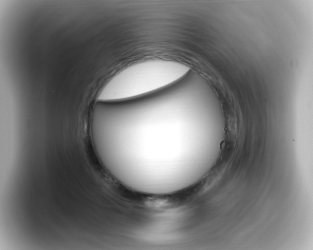 X0000099380602200805081201