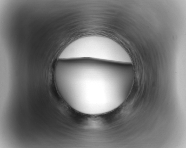 X0000099380603200805081201