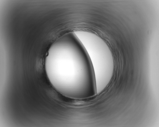 X0000099380605200805081201