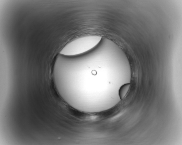 X0000099380610200805081200