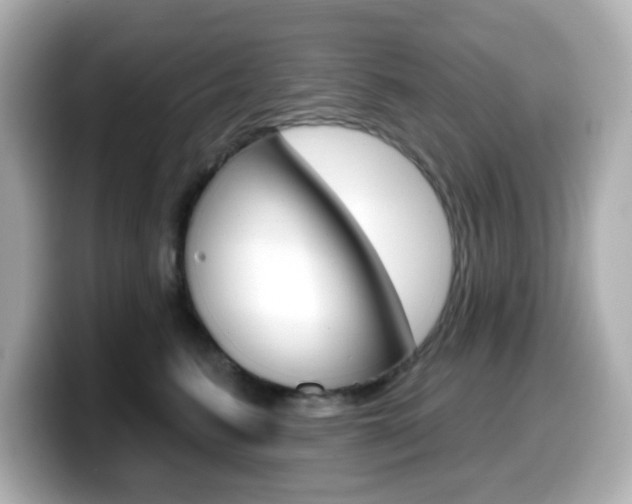 X0000099380615200805081200