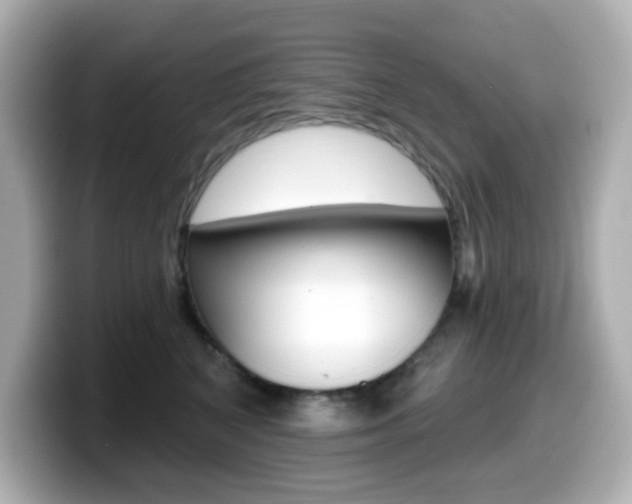 X0000099380616200805081200