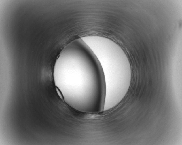 X0000099380617200805081200