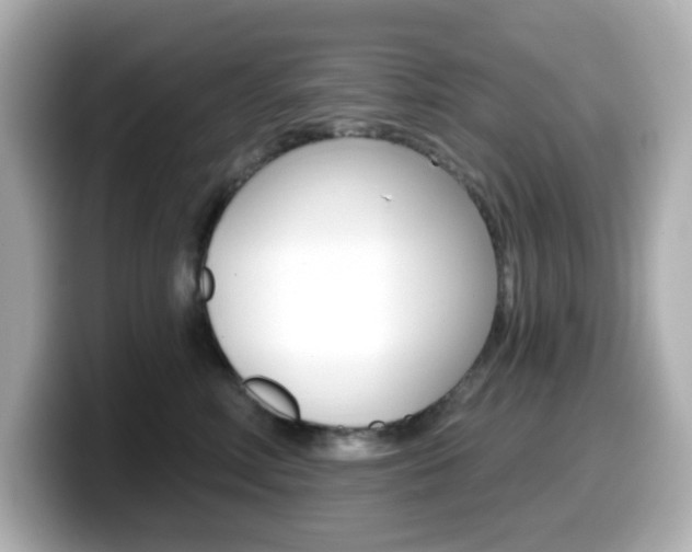 X0000099380618200805081200