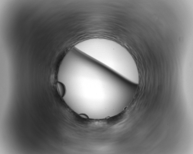X0000099380619200805081200