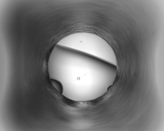 X0000099380623200805081200