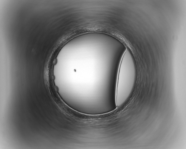 X0000099380626200805081200