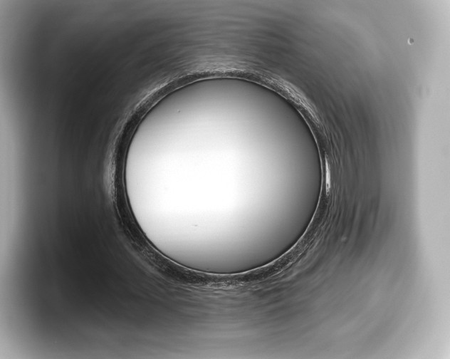 X0000099380627200805081200