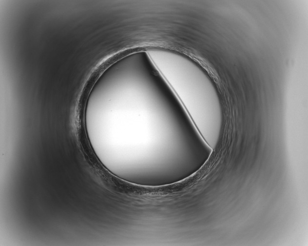 X0000099380628200805081200