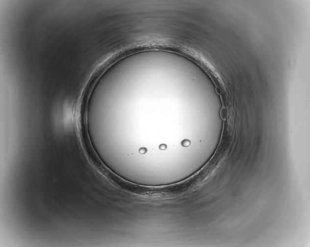 X0000099380629200805081200