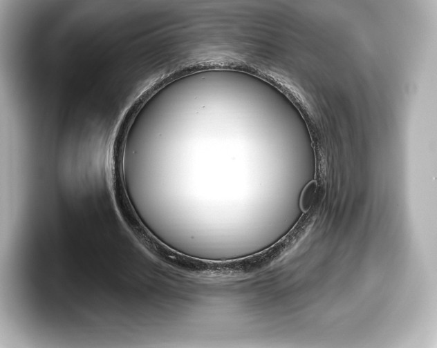 X0000099380630200805081200
