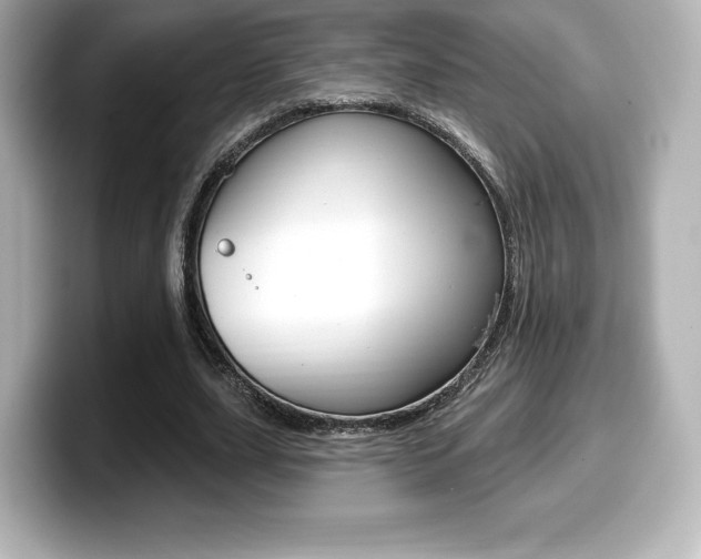 X0000099380631200805081200