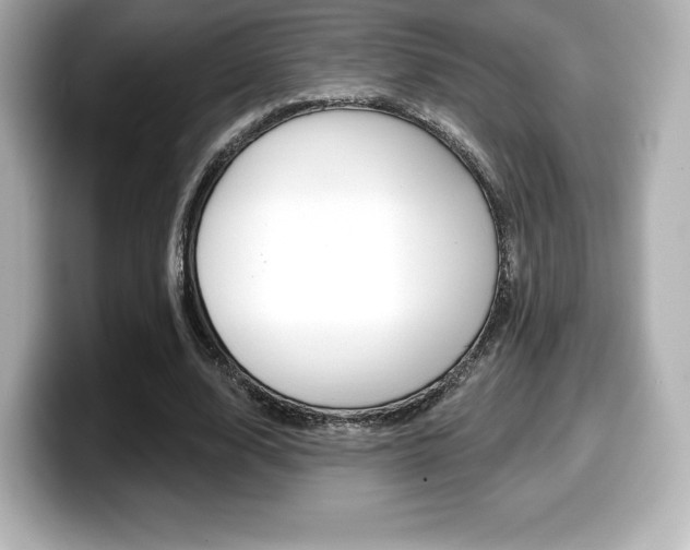 X0000099380632200805081200