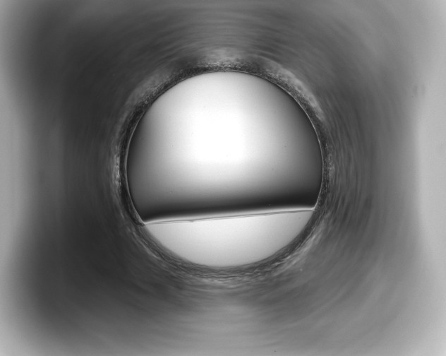 X0000099380633200805081200