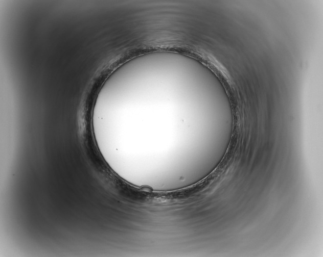 X0000099380635200805081200