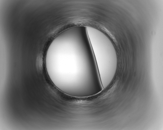 X0000099380637200805081200