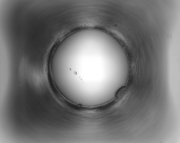 X0000099380638200805081200