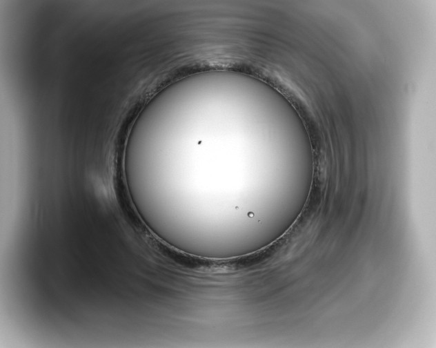 X0000099380639200805081200
