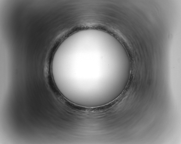 X0000099380640200805081200