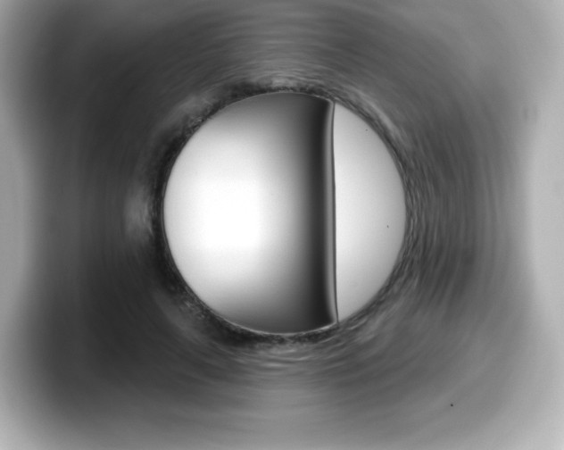 X0000099380643200805081200