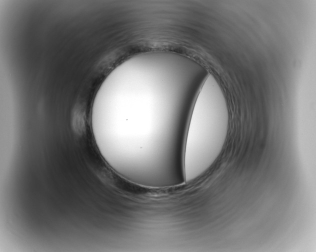 X0000099380644200805081200