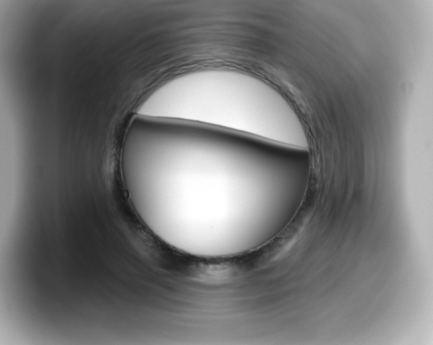 X0000099380645200805081200