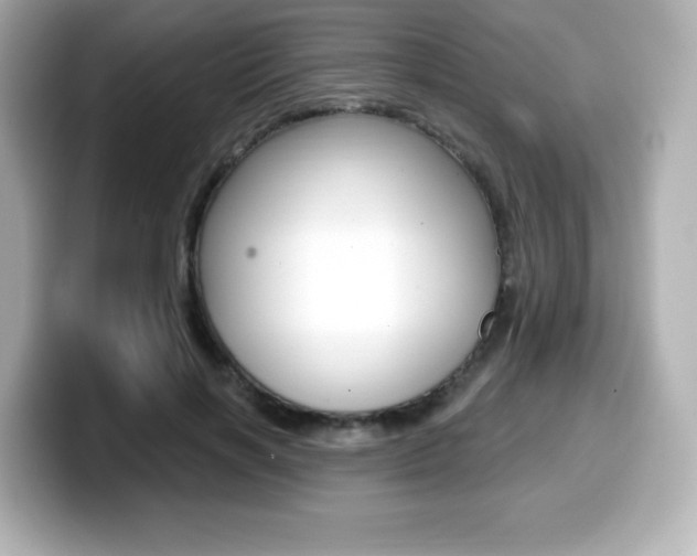 X0000099380646200805081200
