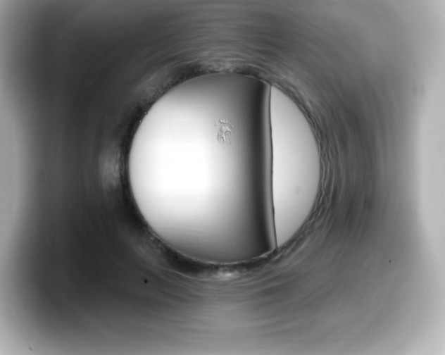 X0000099380647200805081200