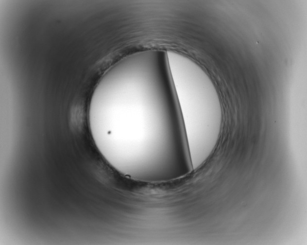 X0000099380648200805081200