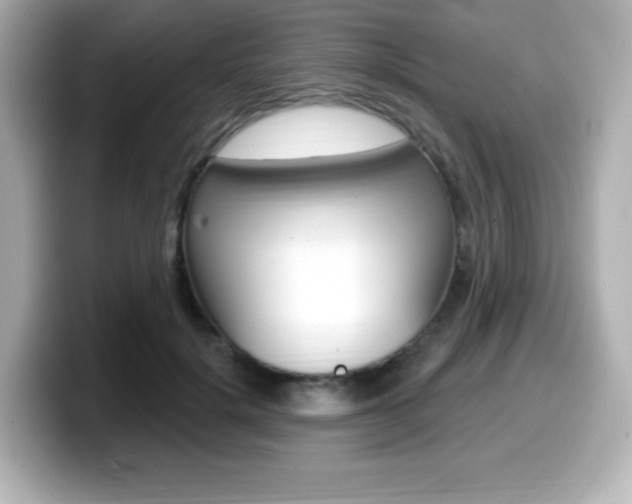 X0000099380652200805081200