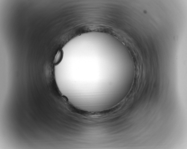 X0000099380653200805081200