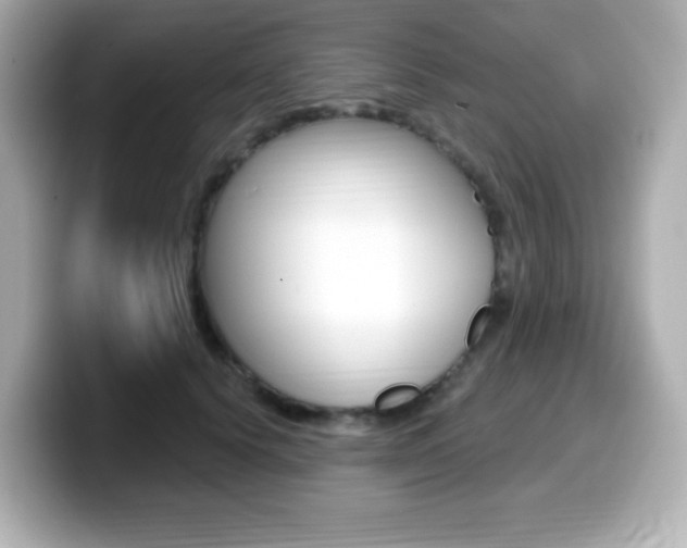 X0000099380656200805081200