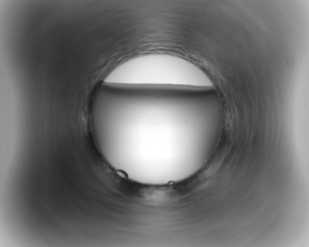 X0000099380661200805081200