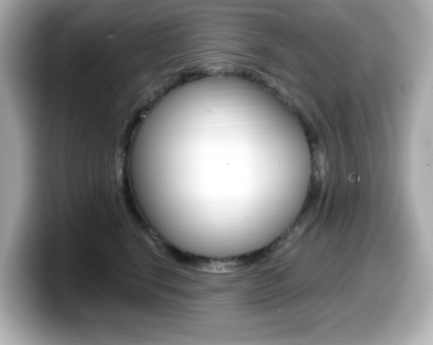 X0000099380664200805081200
