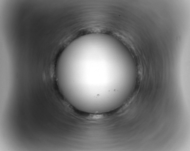 X0000099380665200805081200