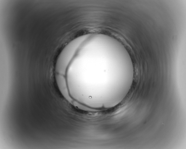 X0000099380667200805081200
