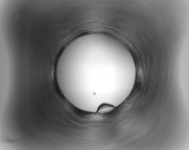 X0000099380668200805081200