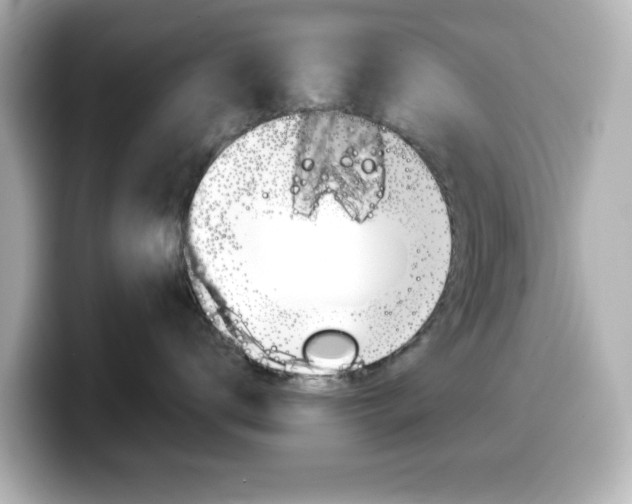 X0000099380672200805081200