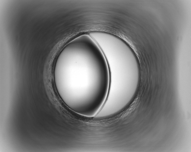 X0000099380673200805081200