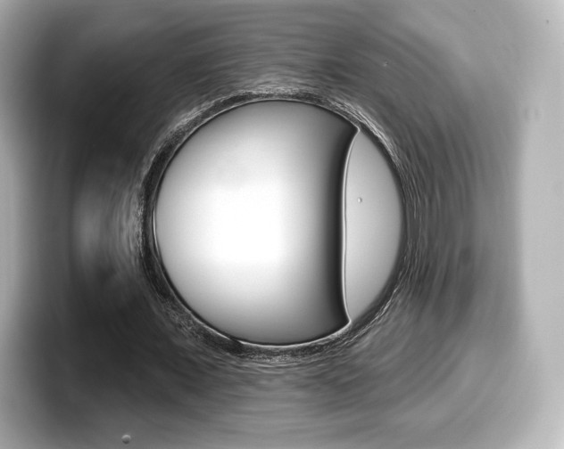 X0000099380675200805081200